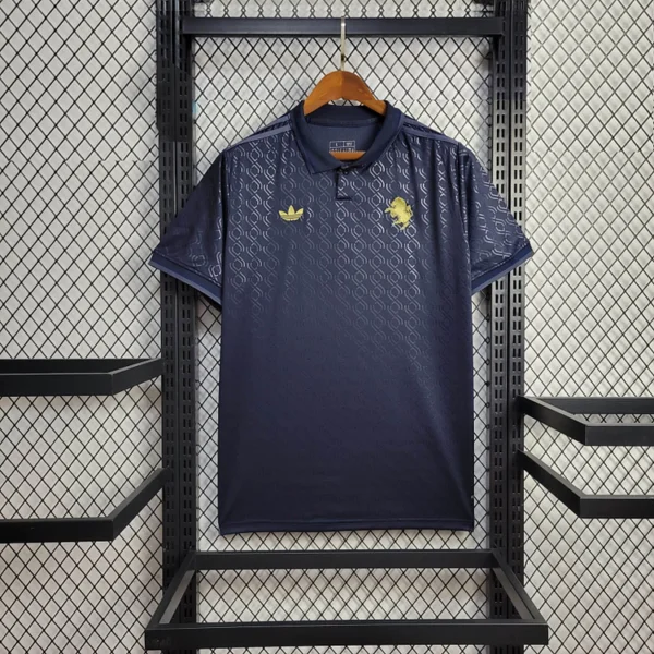 Juventus 24/25 3rd Shirt